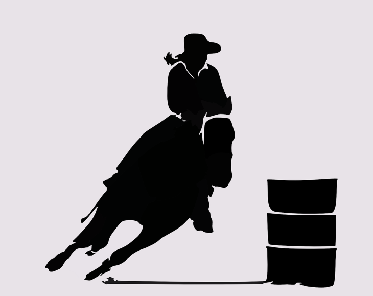 image of rodeo